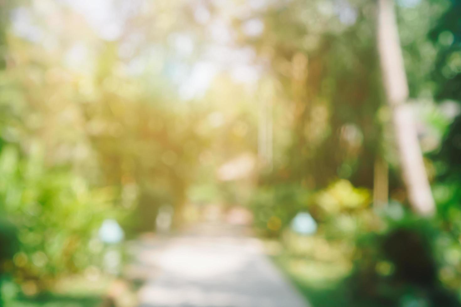 vervagen de natuur bokeh van een groen park aan het strand foto