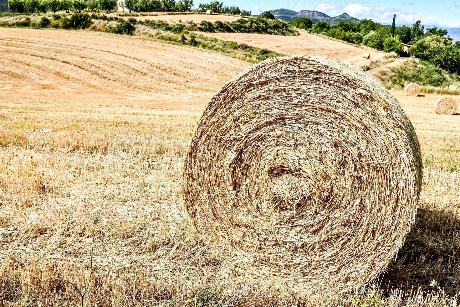 toneel- landelijk landschap foto