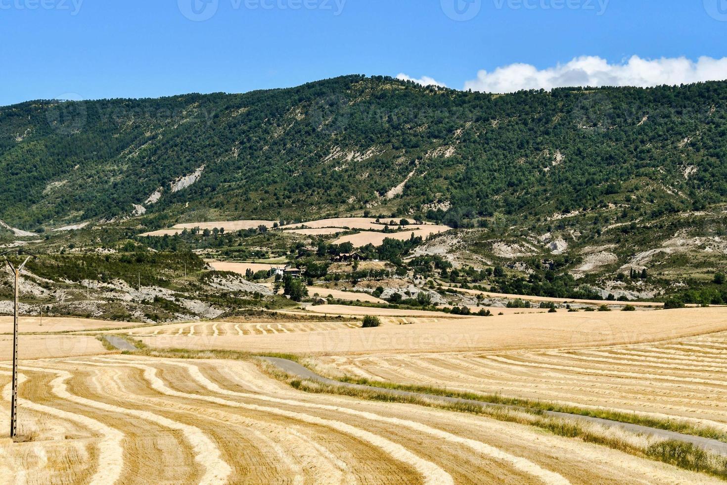 toneel- landelijk landschap foto