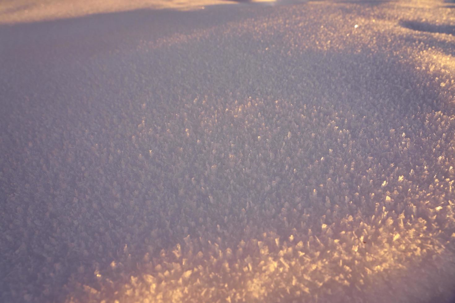sneeuw textuur op een ijzige avond bij zonsondergang foto