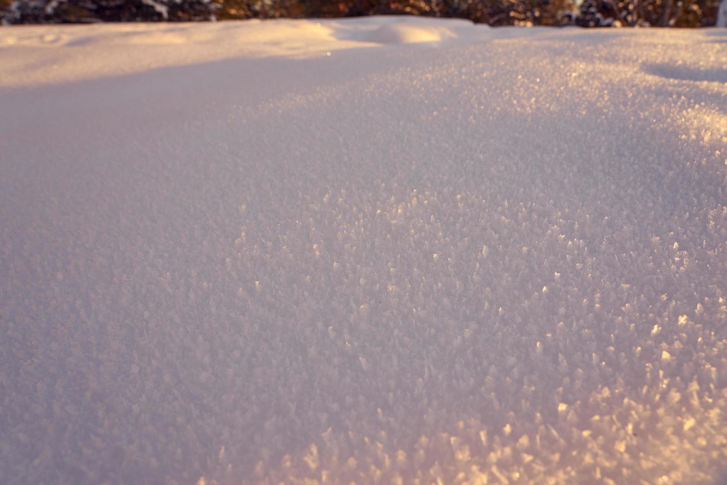 sneeuw textuur op een ijzige avond bij zonsondergang foto