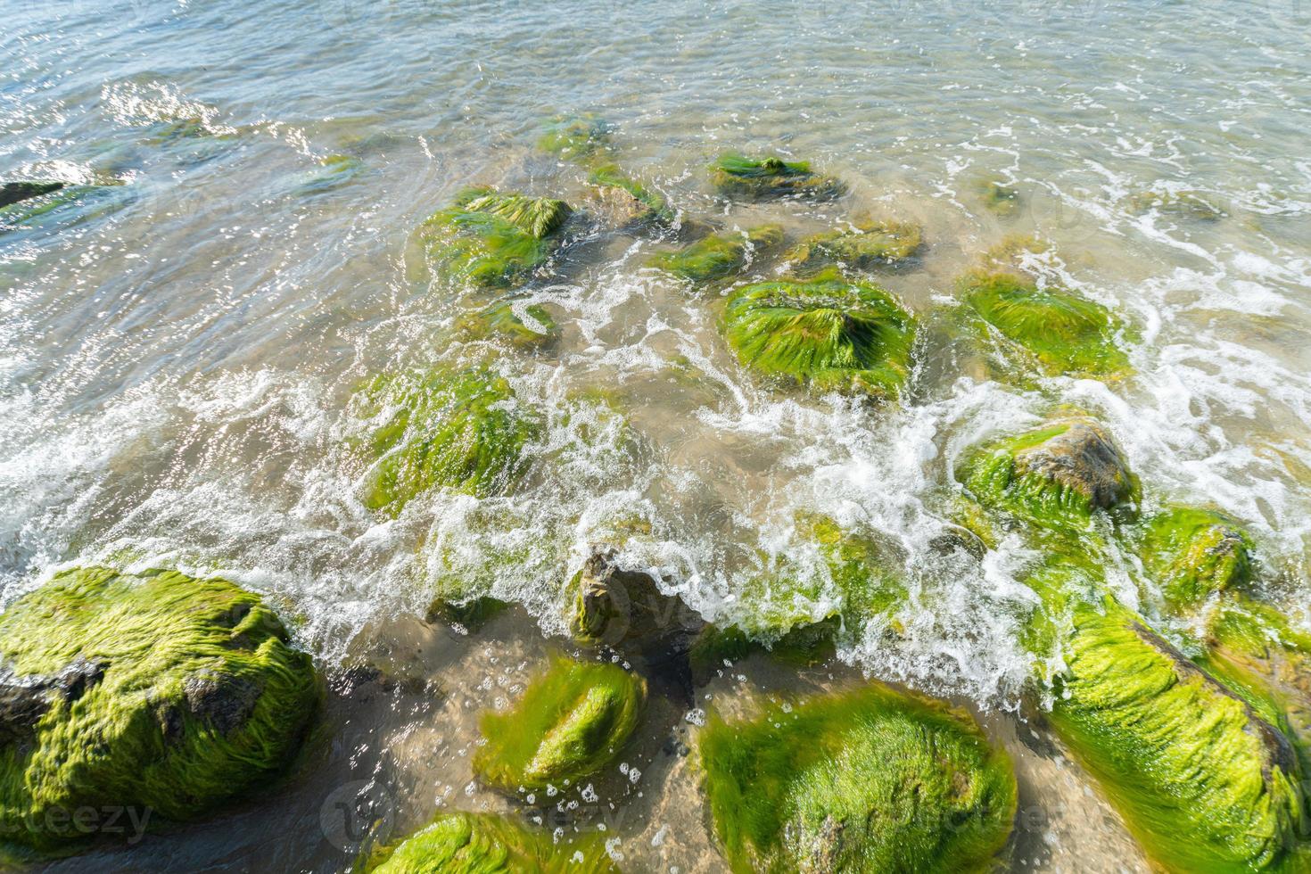 zee getijdeboring. golven breken op stenen die begroeid zijn met mos en algen. prachtig zeegezicht. foto