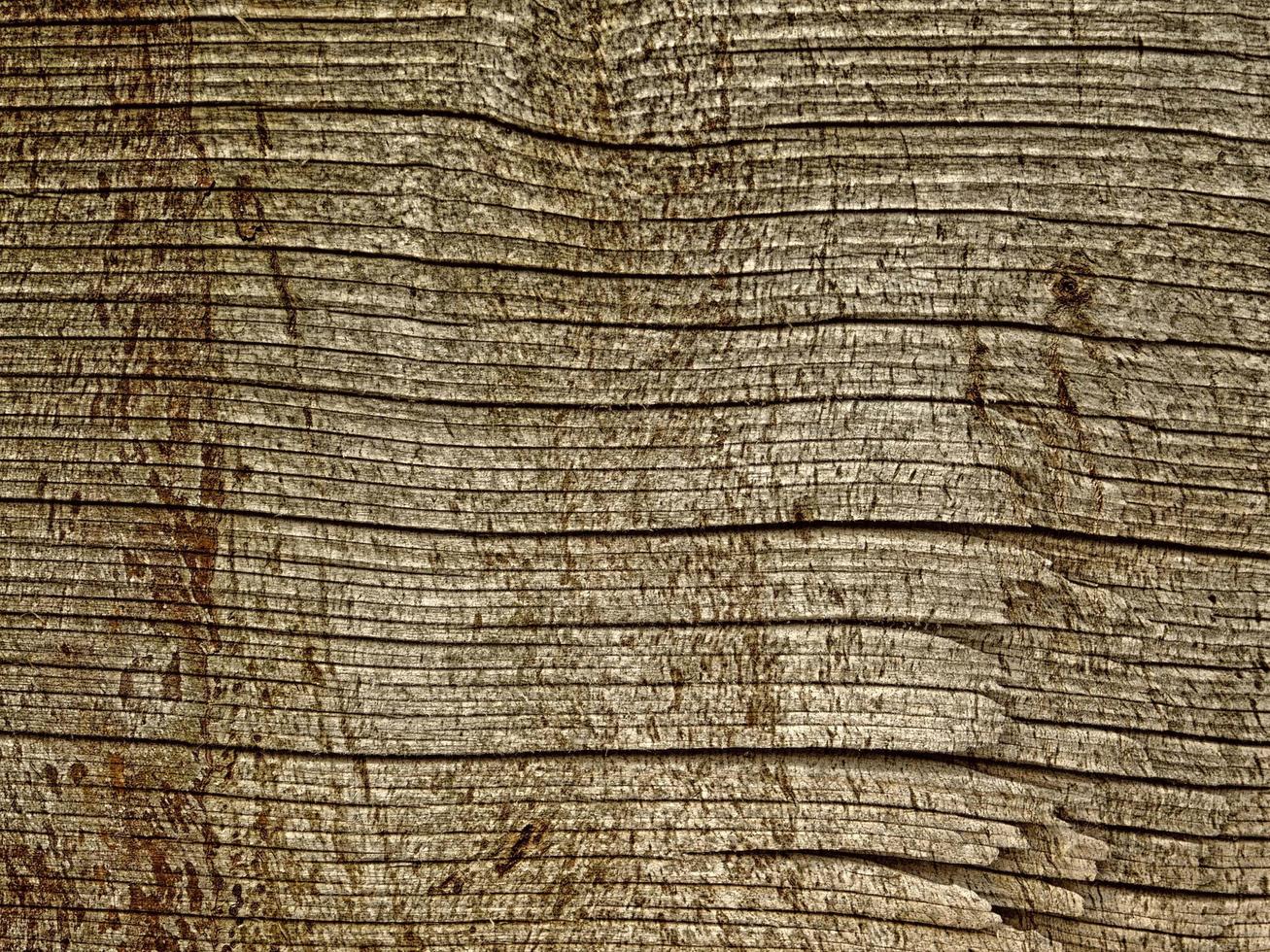 close-up van boomschors voor achtergrond of textuur foto
