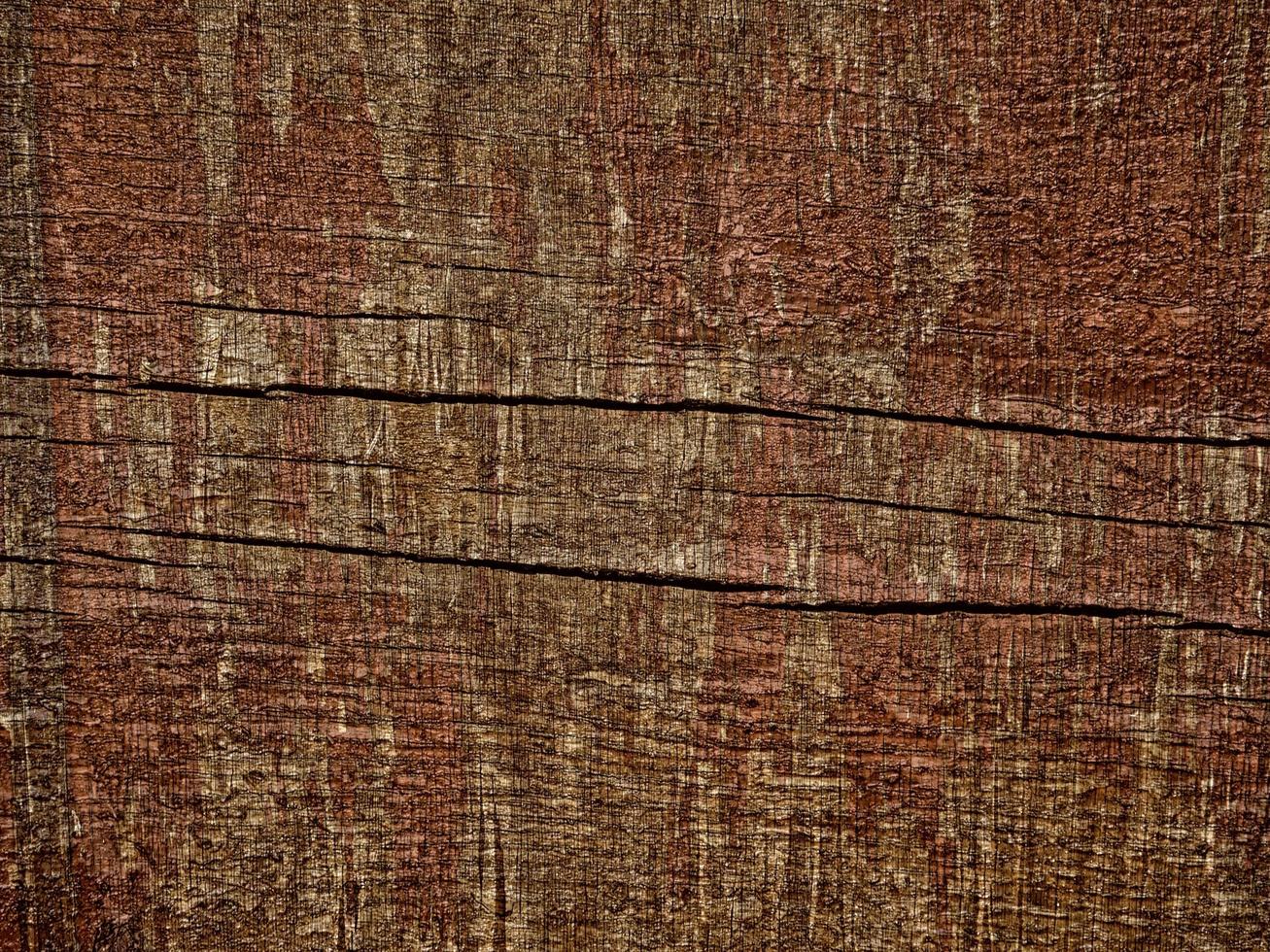 close-up van boomschors voor achtergrond of textuur foto