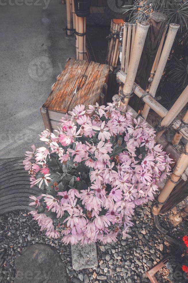 een bundel van roze wild bloemen foto