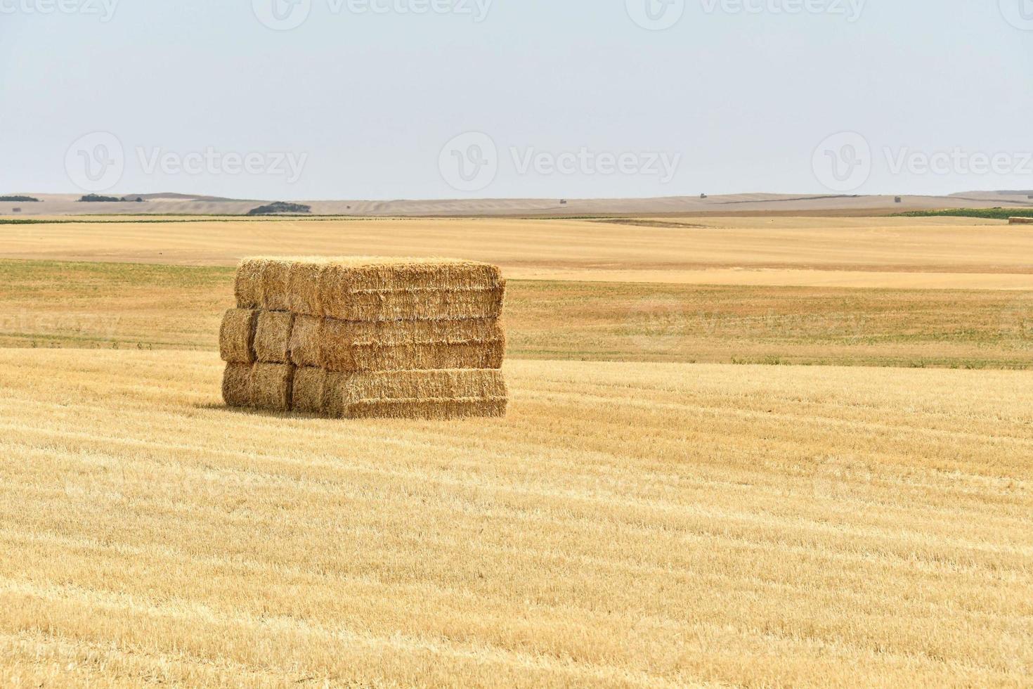 toneel- landelijk landschap foto