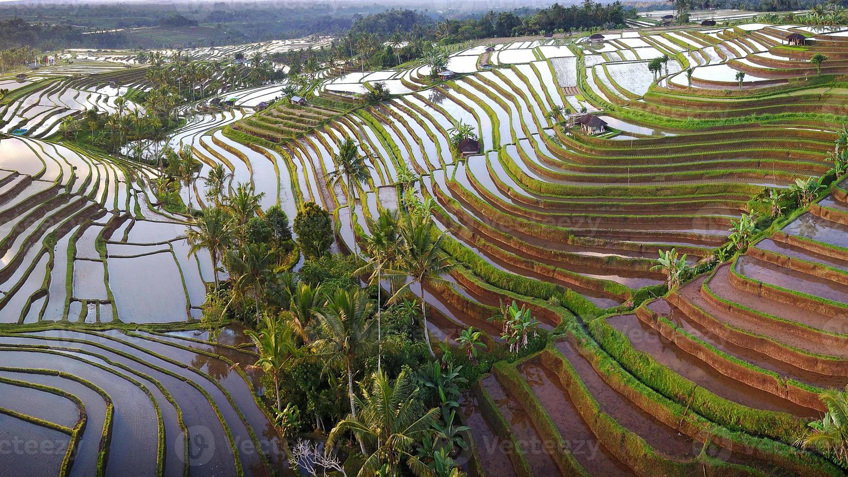 luchtfoto van Bali rijstterrassen foto