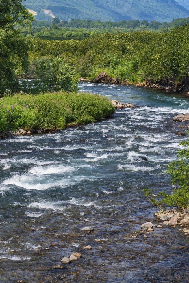 mooi landschap - visie van stroom Doorzichtig water van berg rivier- en groen Woud Aan rivier- bank foto