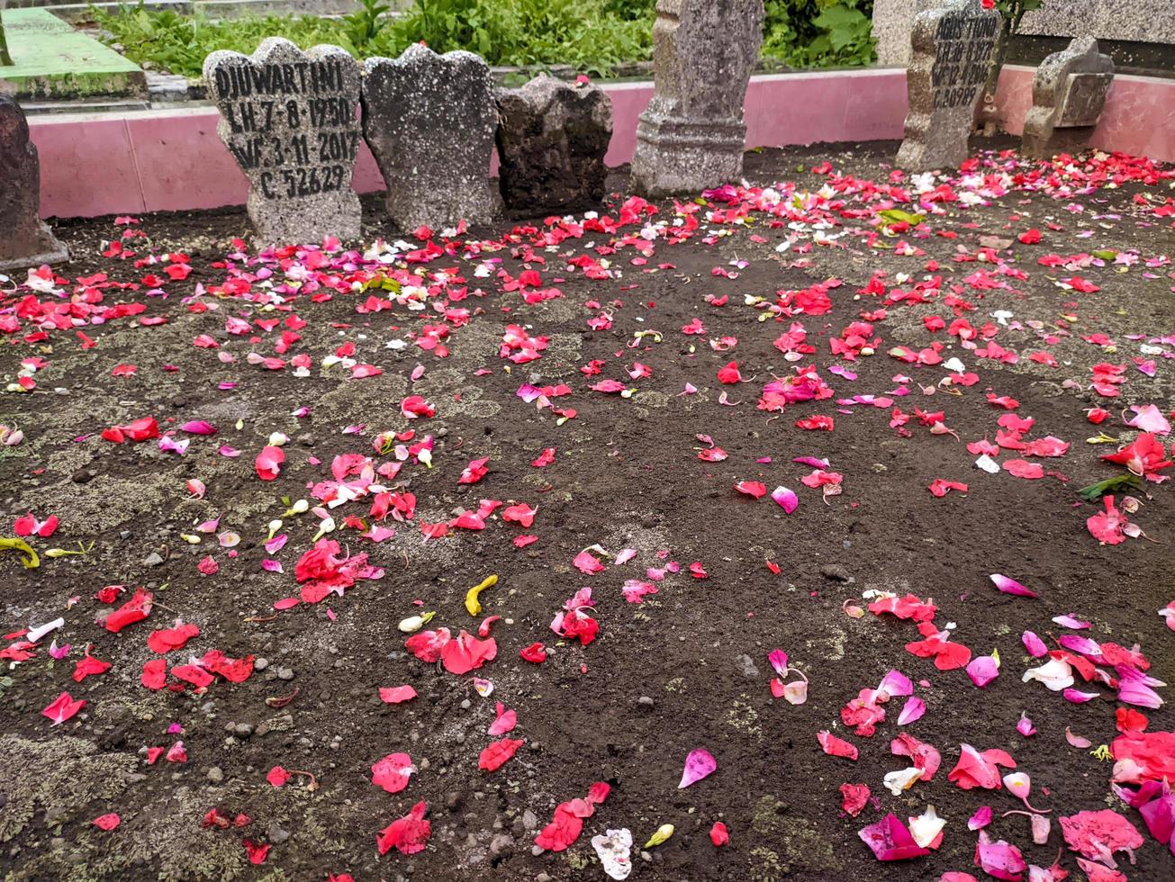 een bloemen besprenkeld Aan graven foto