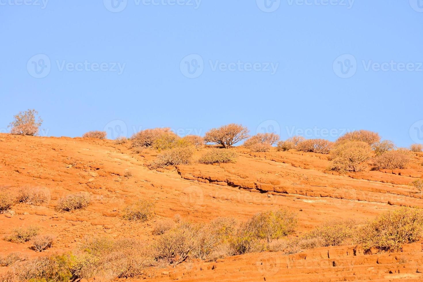 toneel- landelijk landschap foto