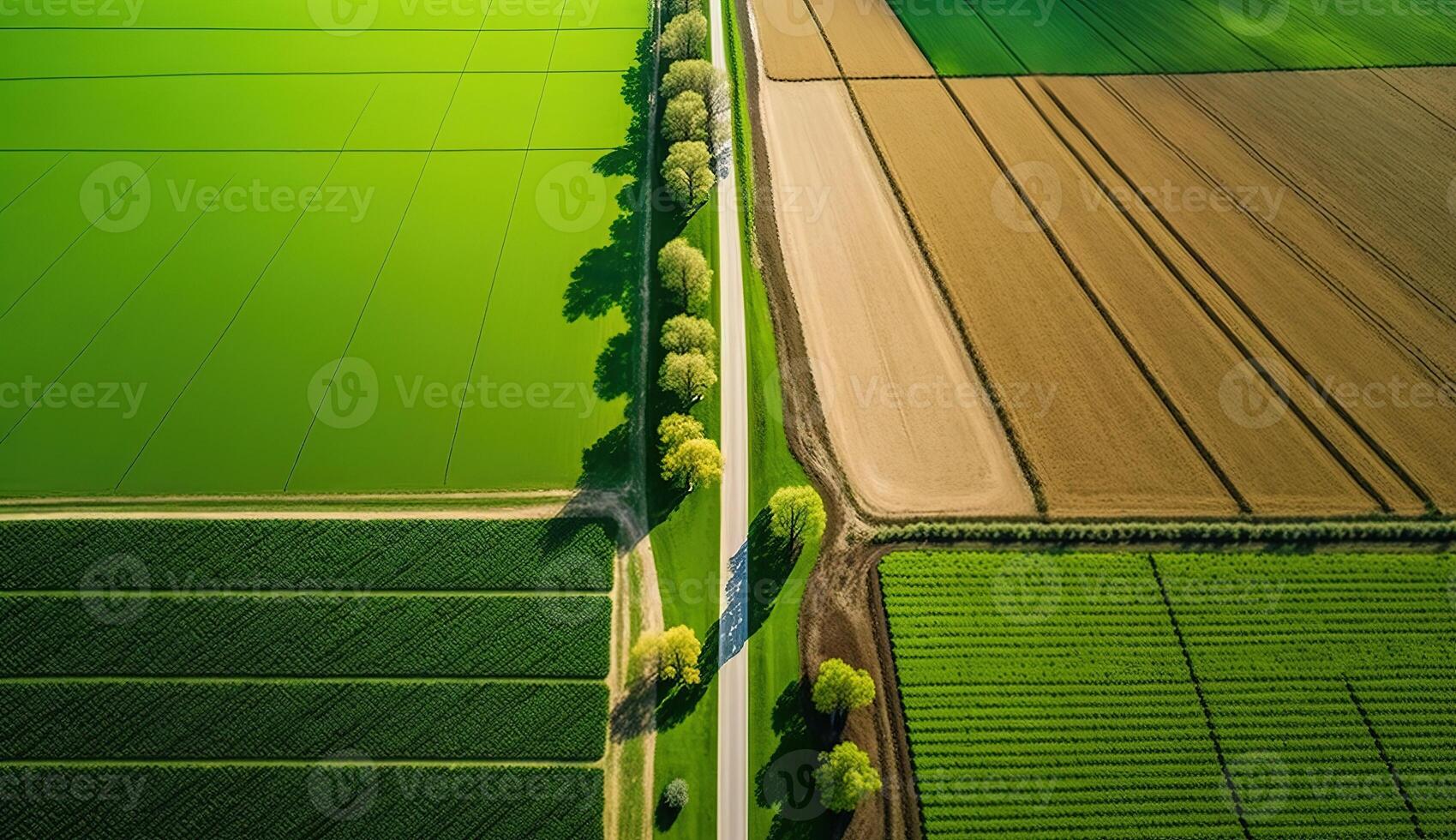 generatief ai, boerderij landschap, agrarisch velden, mooi platteland, land weg. natuur illustratie, fotorealistisch top visie drone, horizontaal spandoek. foto