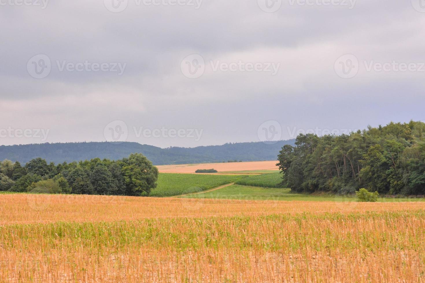 toneel- landelijk landschap foto