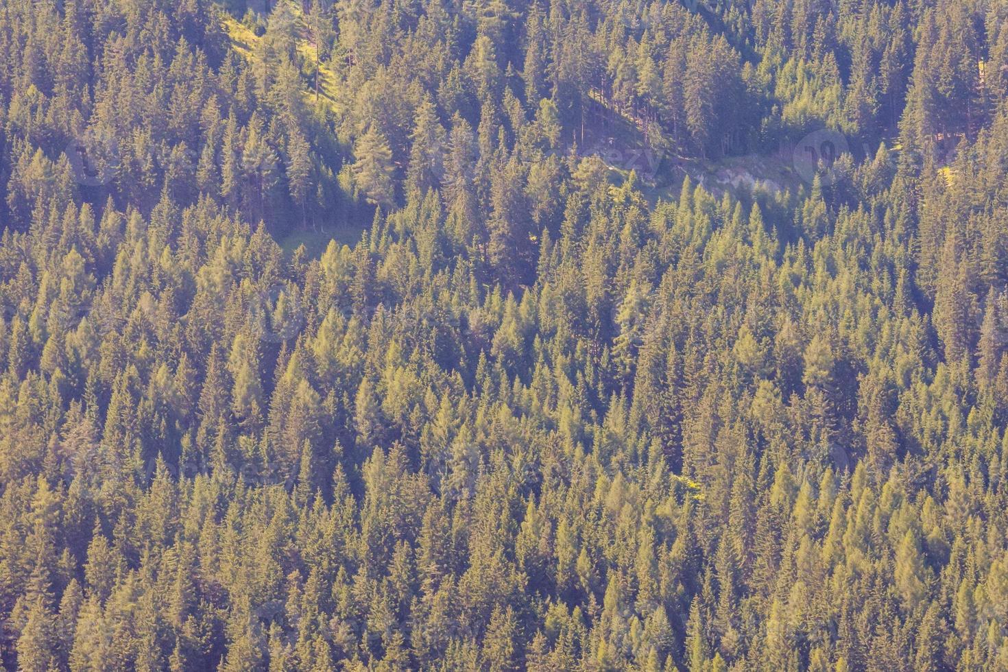 toneel- landelijk landschap foto