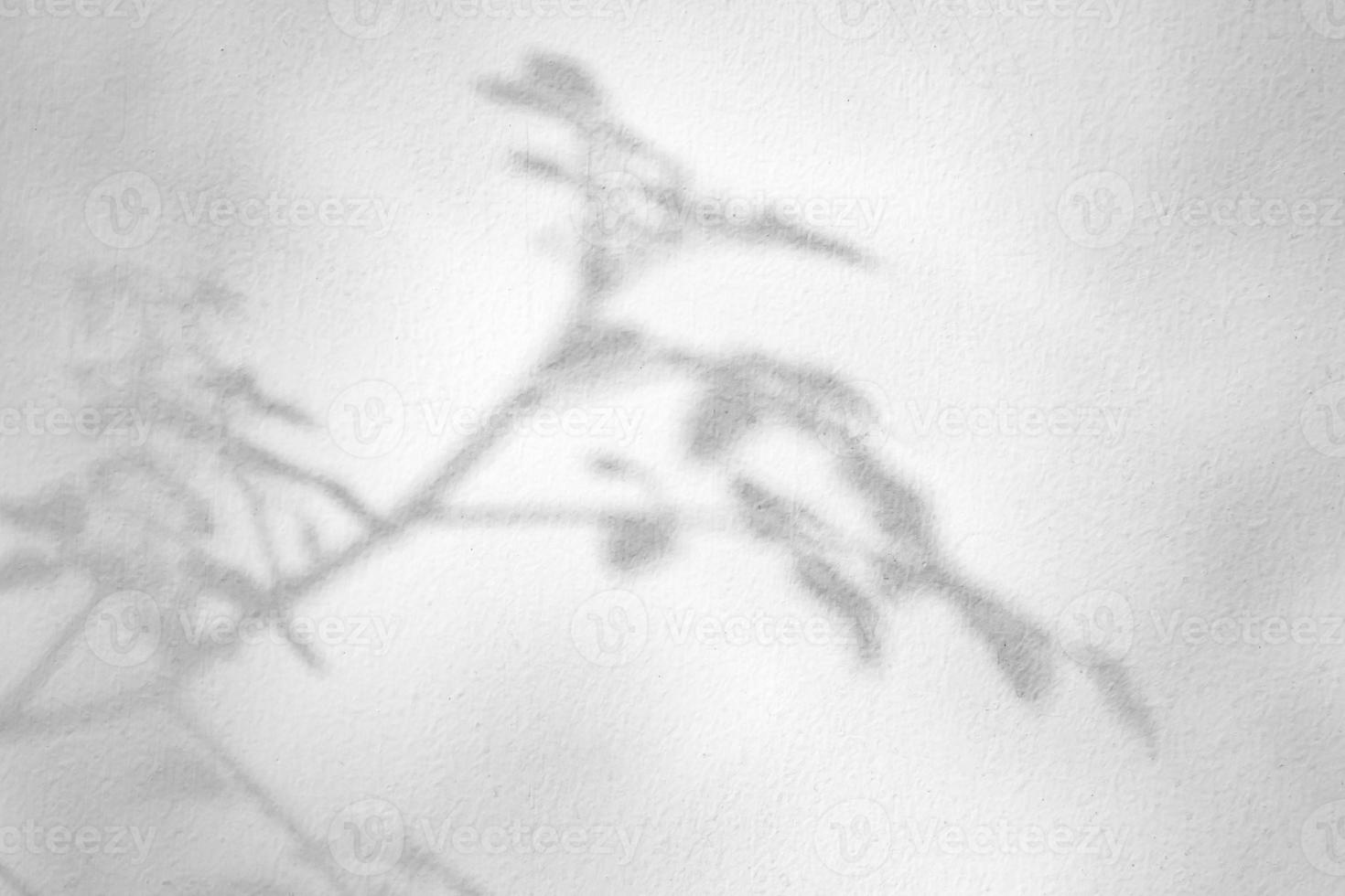 abstract natuurlijk boom bladeren schaduw Aan wit muur achtergrond foto
