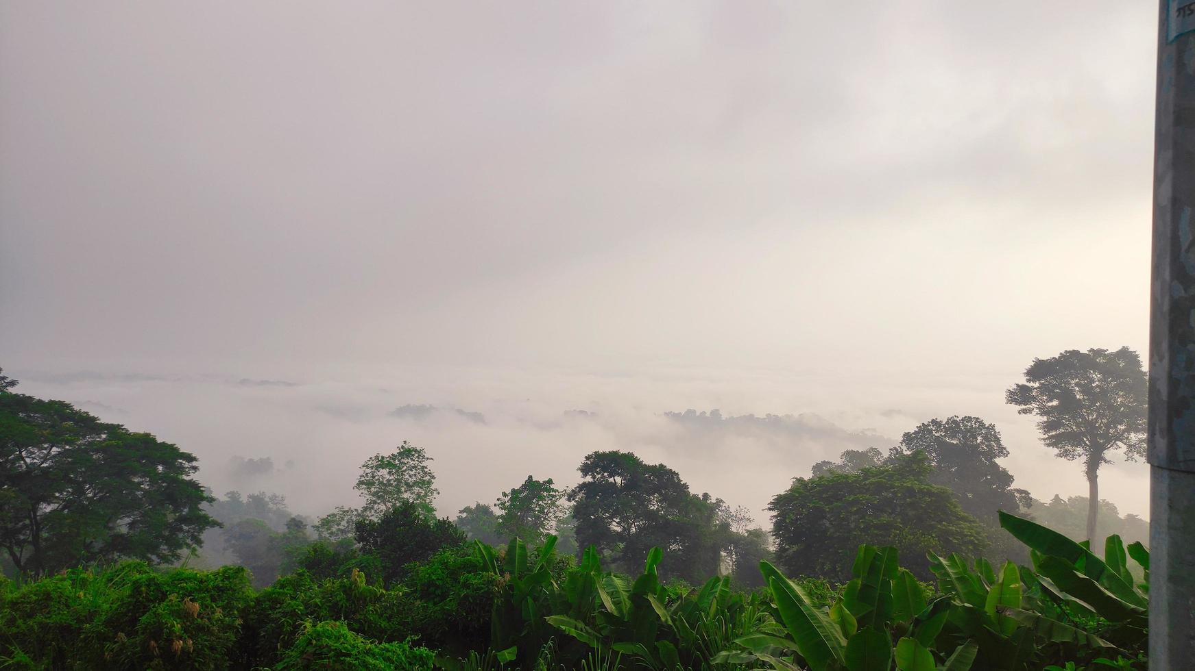 omgekeerde waterval de berg sajak Bangladesh foto