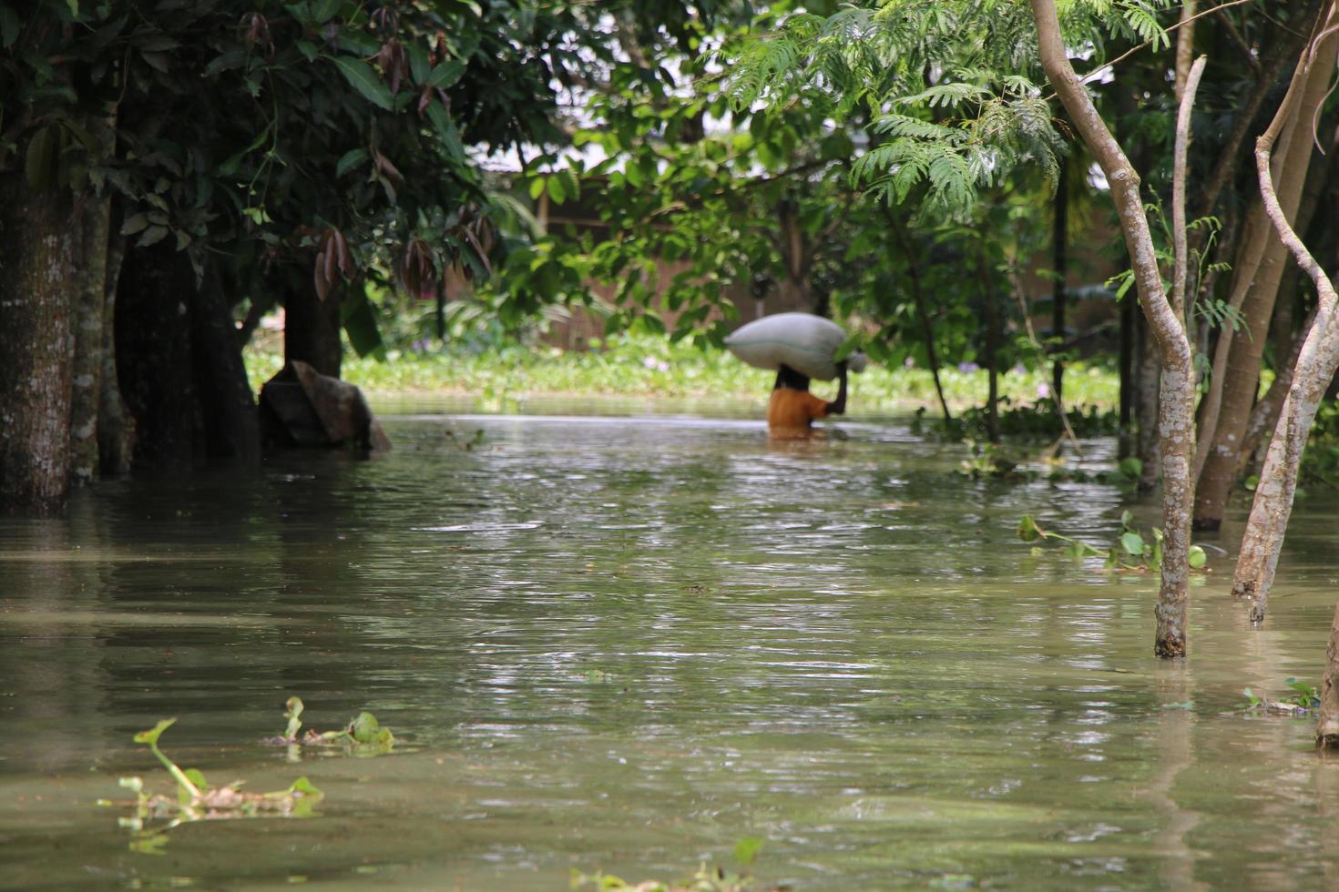 de landelijk gebieden van Bangladesh keek heel mooi gedurende de overstromingen foto