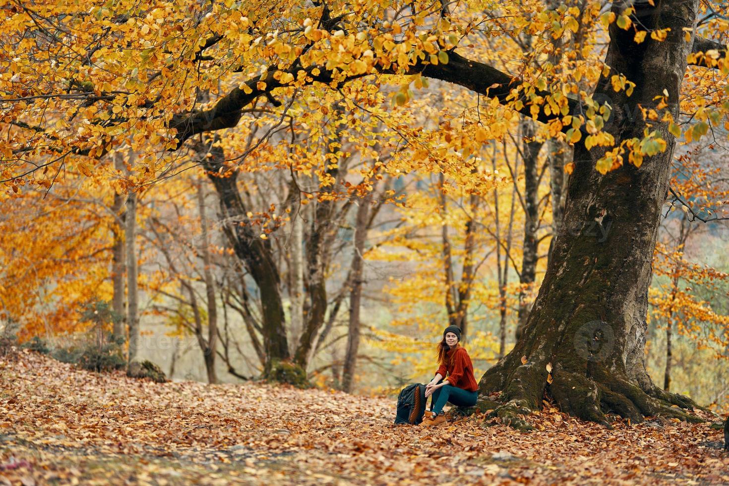 vrouw in de buurt een boom in de Woud in herfst gedaald bladeren landschap model- trui foto