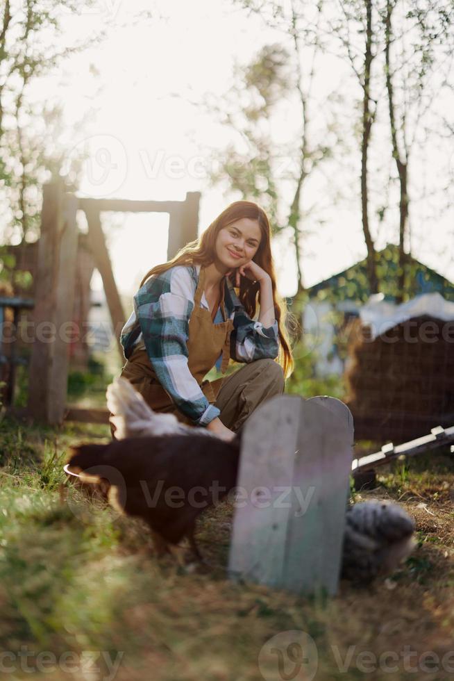 een vrouw zit in de vogel pen en feeds de kippen biologisch gezond vers voedsel voor de veiligheid en Gezondheid van de vogelstand Aan de boerderij Aan een zonnig zomer dag Bij zonsondergang foto