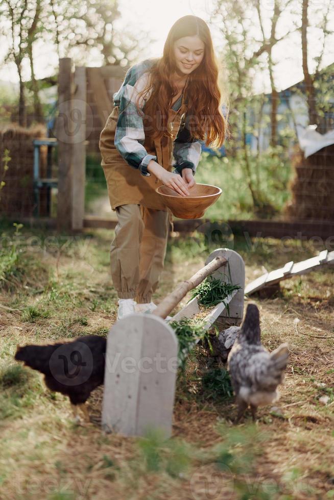 vrouw feeds kippen biologisch voedsel voor vogel Gezondheid en mooi zo eieren en zorg voor de milieu foto