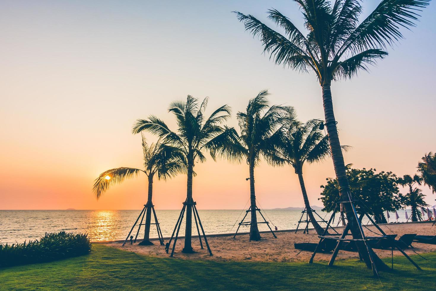 palmboom op het strand foto