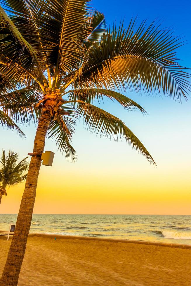 palmboom op het strand foto