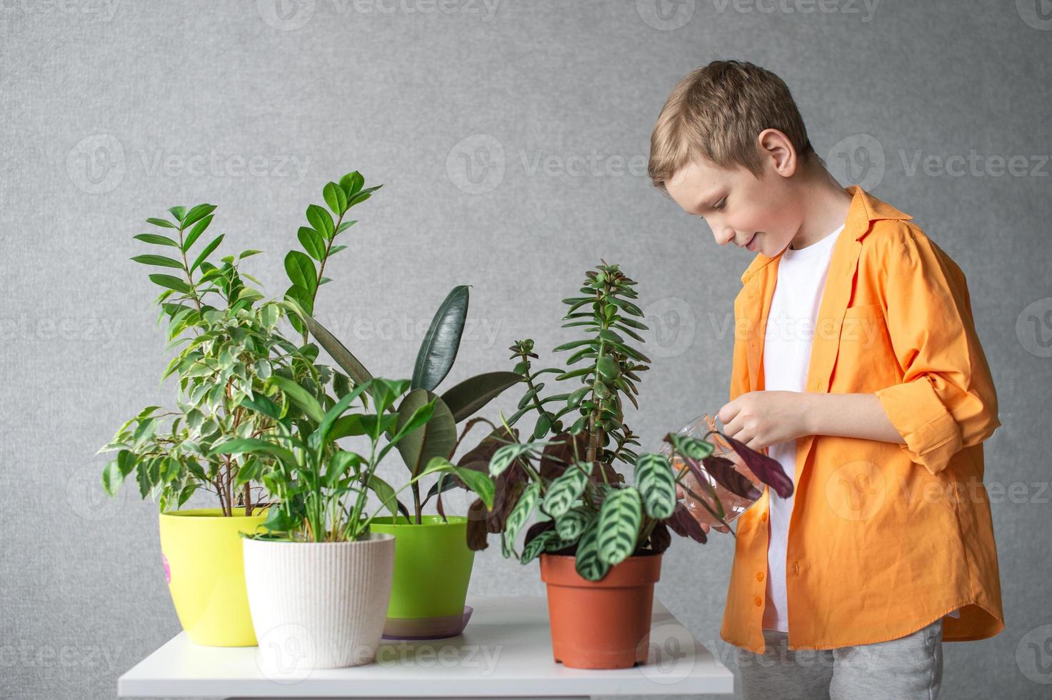 een schattig jongen duurt zorg van binnen- groen planten. cheques bodem vochtigheid niveau foto