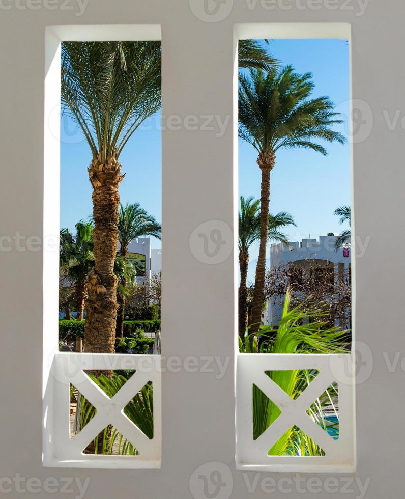 uitzicht op palmbomen vanuit een raam foto