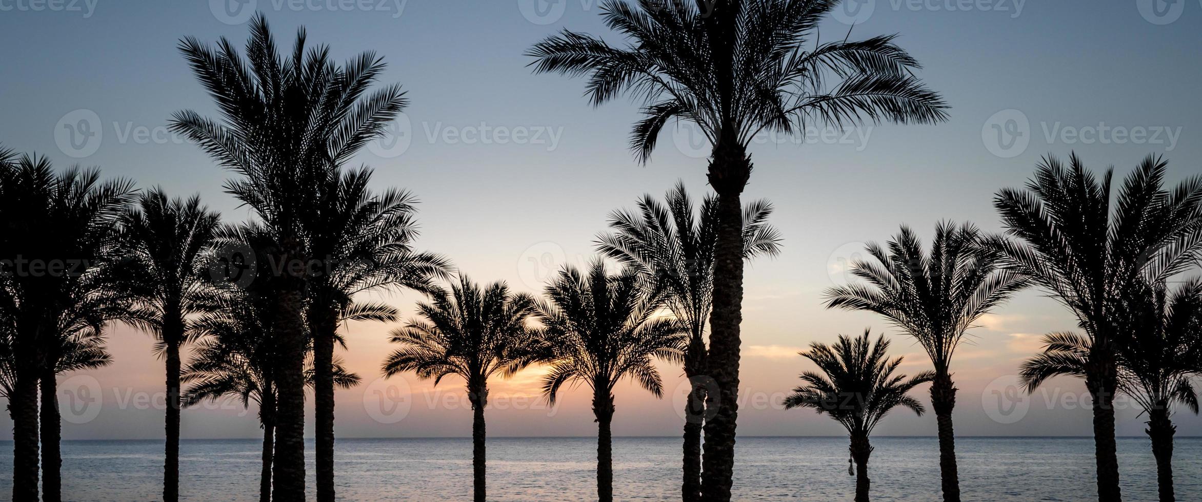 zonsondergang en palmbomen foto