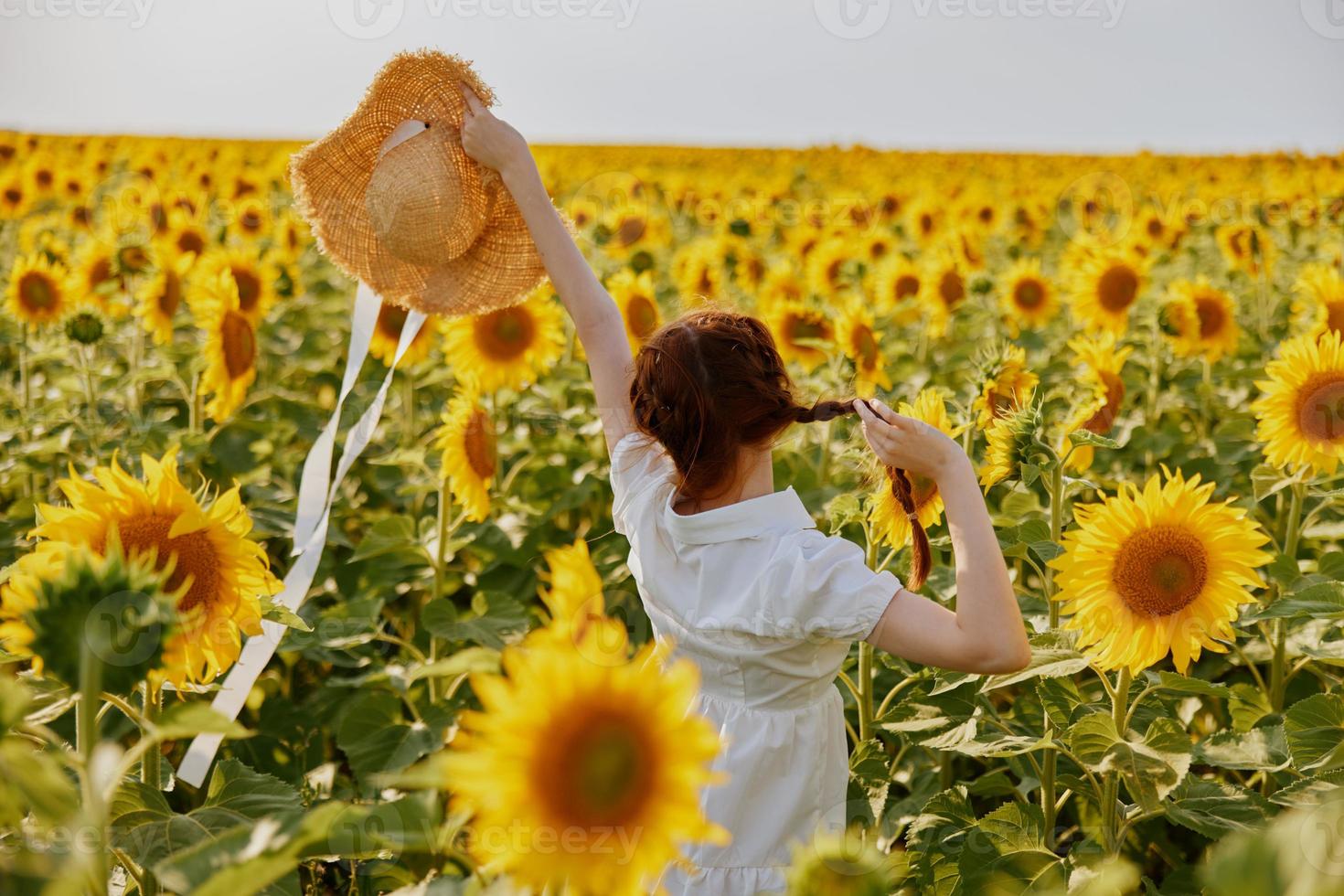vrouw portret in een hoed Aan een veld- van zonnebloemen platteland foto