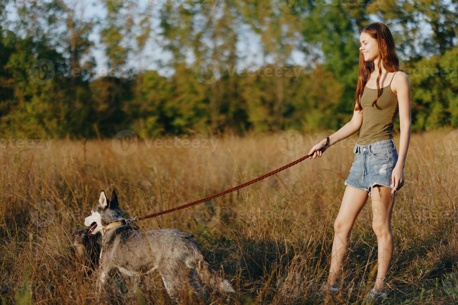 vrouw en haar schor hond gelukkig wandelen en rennen in de gras in de veld- glimlach met tanden herfst zonsondergang wandelen met een huisdier, op reis met een vriend hond geluk foto