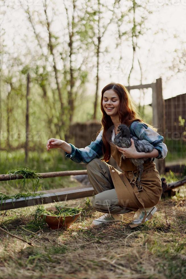 buitenshuis in de gevogelte pen, een jong vrouw boer feeds vers groen gras naar jong houdende kippen en glimlacht foto