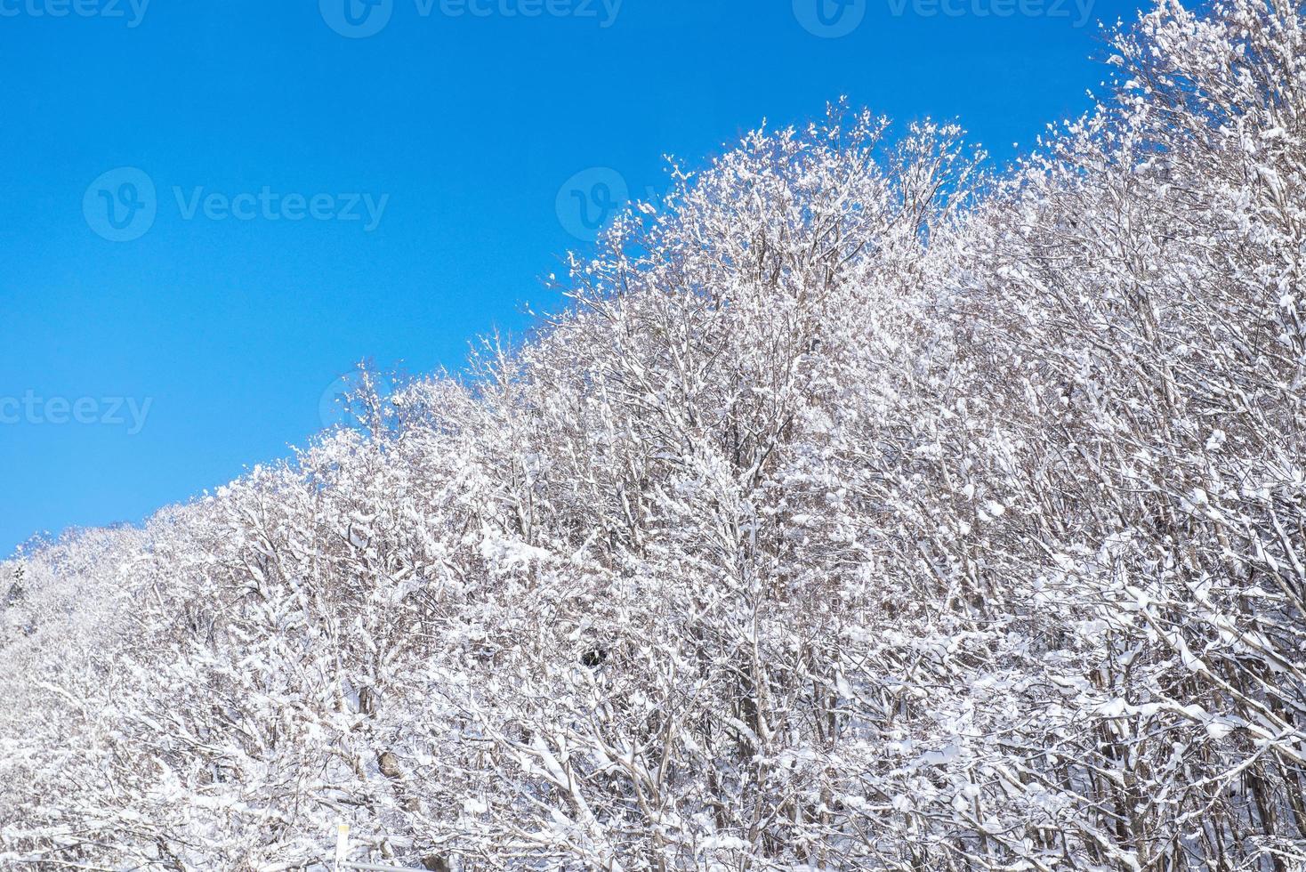 poeder sneeuw berg in sapporo, hokkaido Japan foto