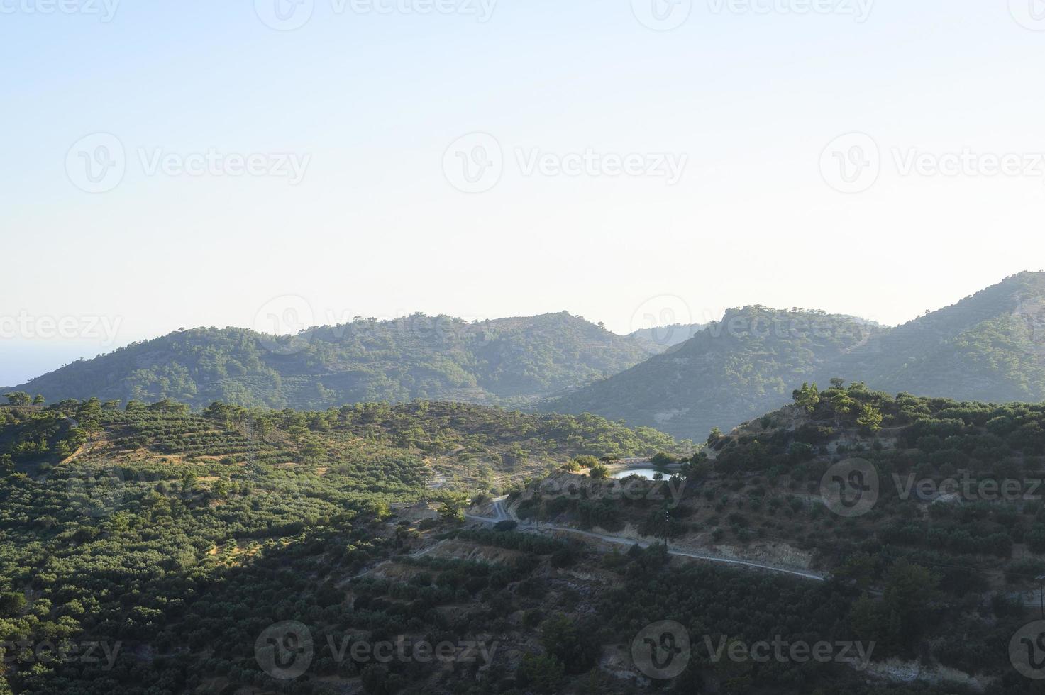 landschap van een bergachtig gebied met olijfboomplantages foto