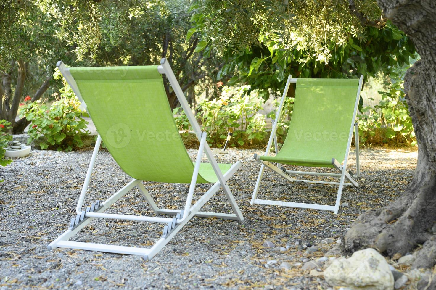 twee lege strandstoelen in de schaduw van olijfbomen in de achtertuin foto