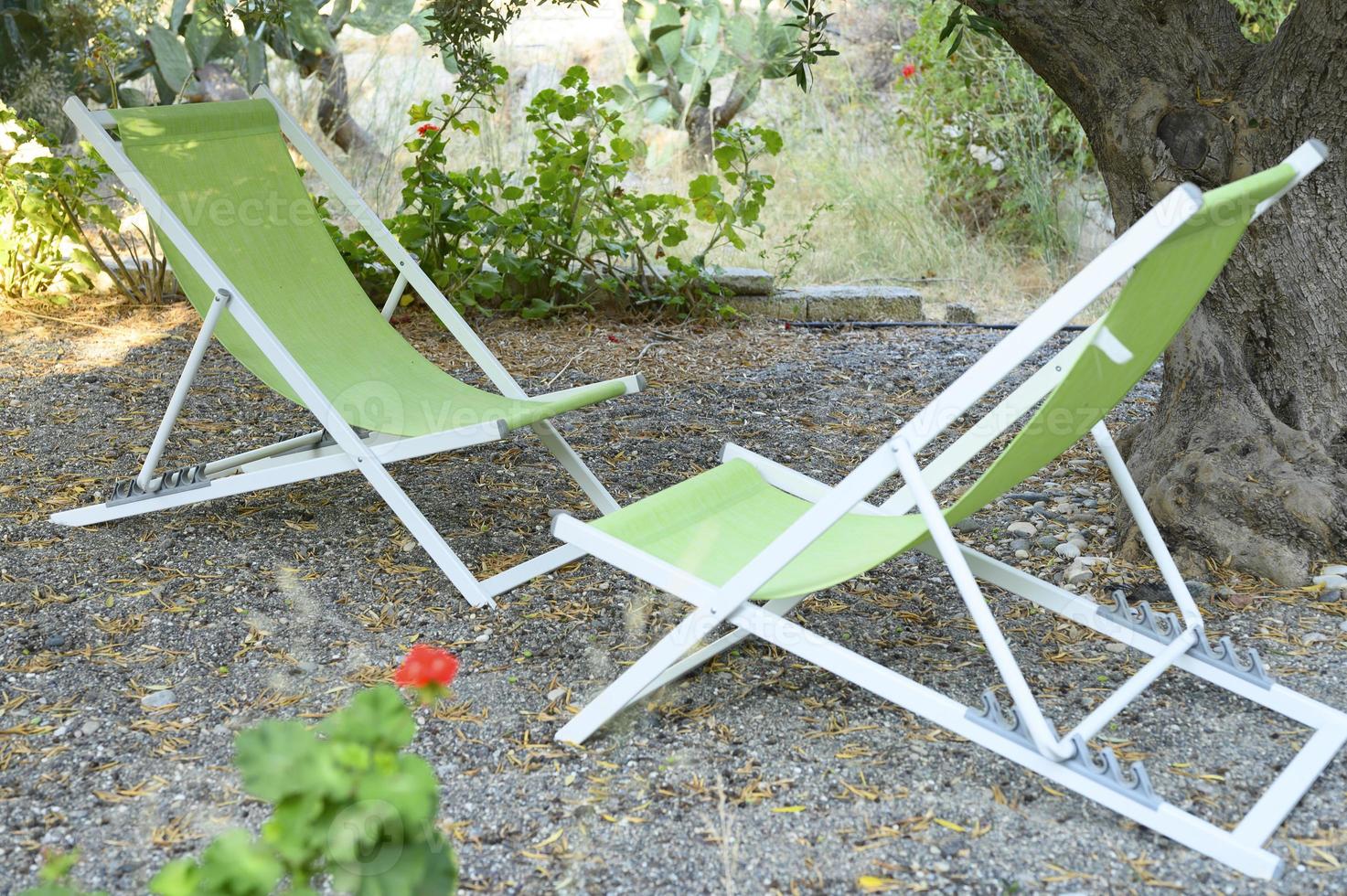 twee lege strandstoelen in de schaduw van olijfbomen in de achtertuin foto