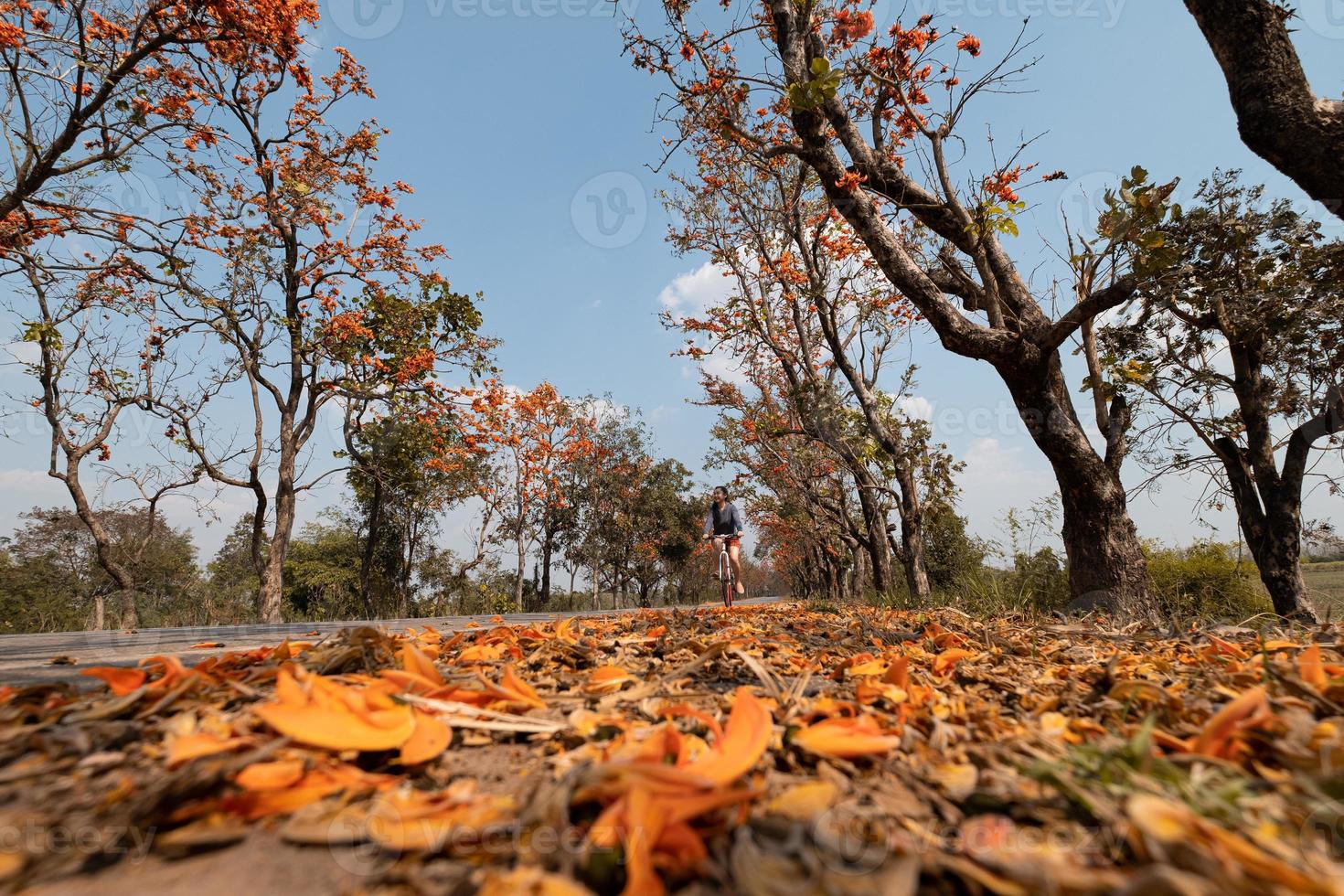 jonge vrouw fietsen tijdens de herfst foto