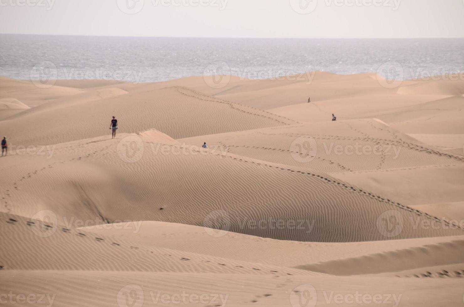 zand duinen achtergrond foto