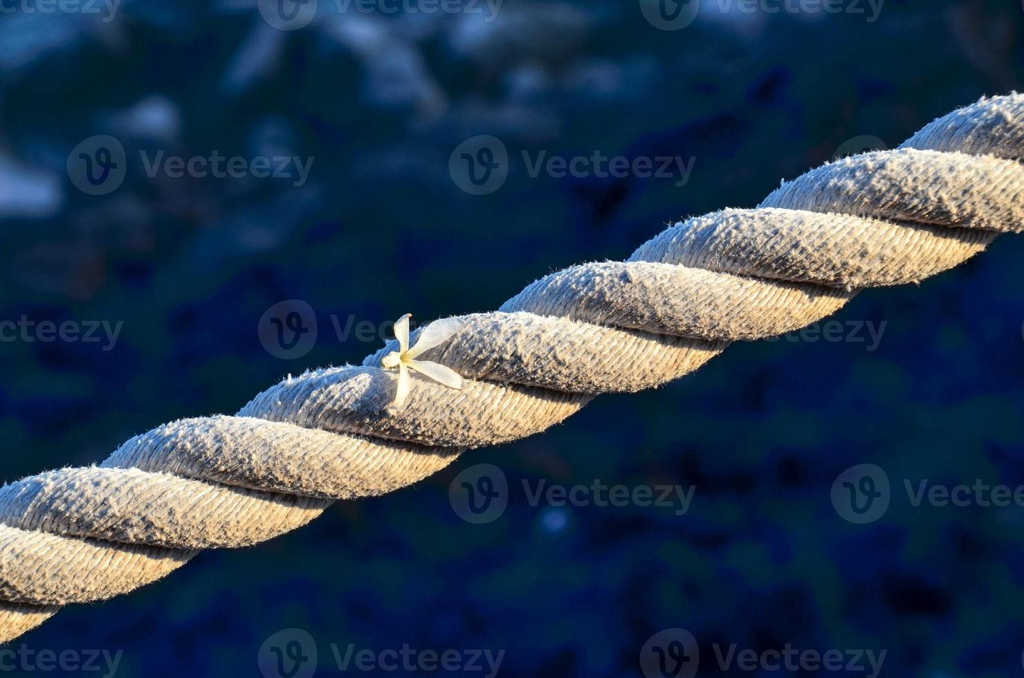 close-up van een touw foto