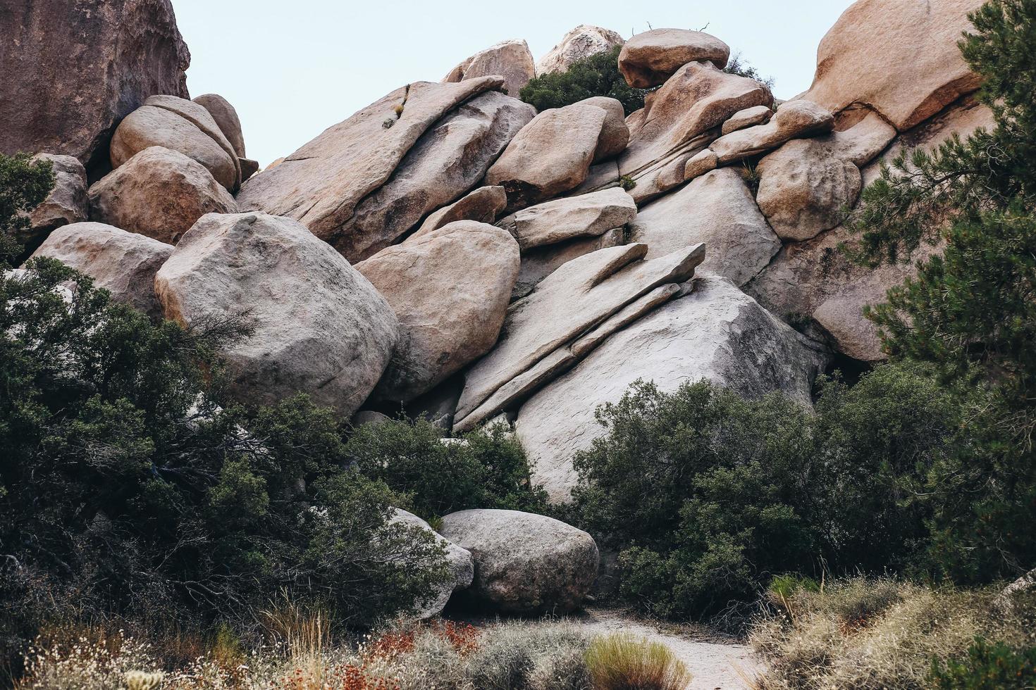 Joshua Tree National Park foto