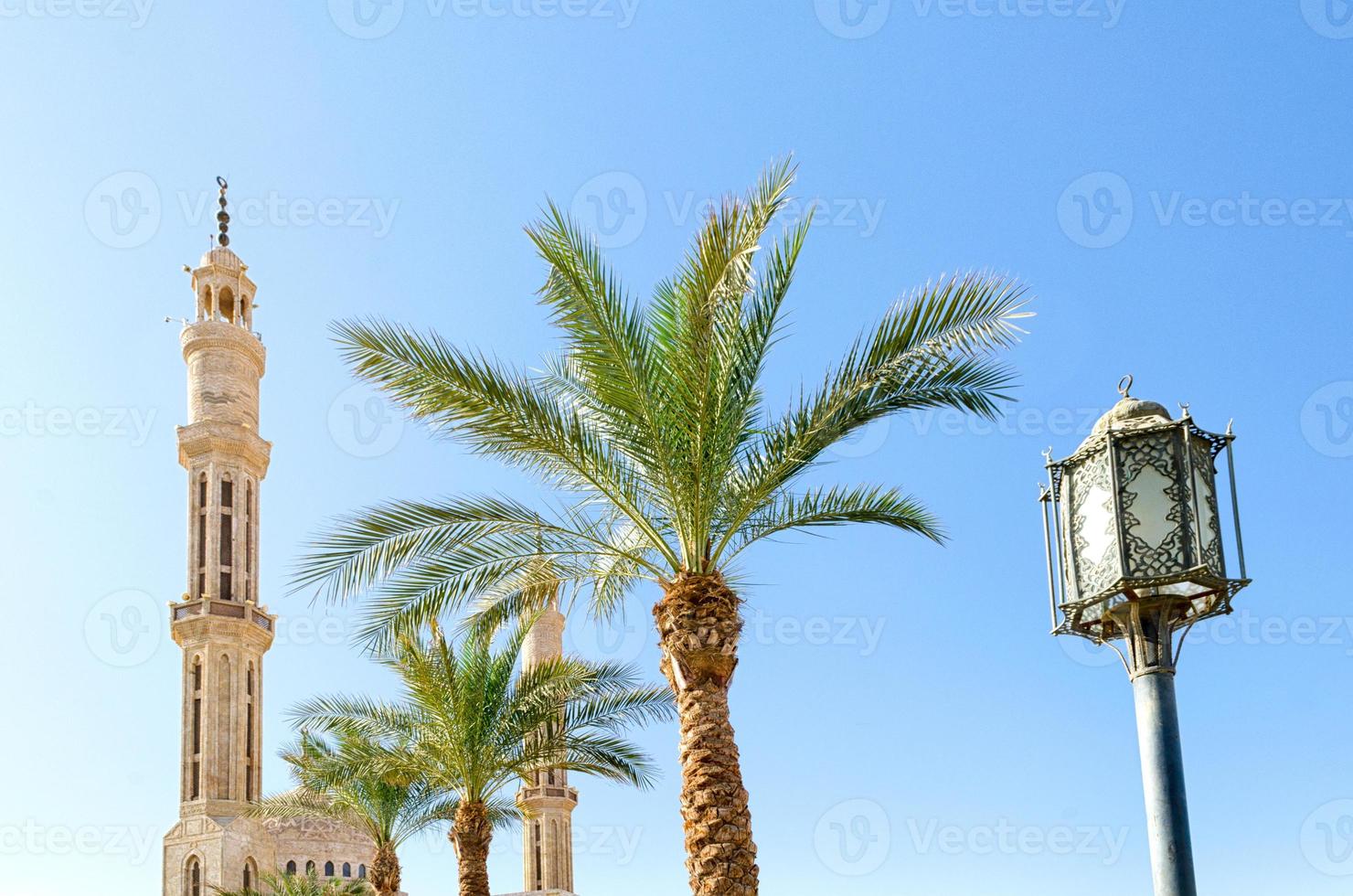 minaretten van de el mustafa-moskee met palmbomen en lantaarn foto
