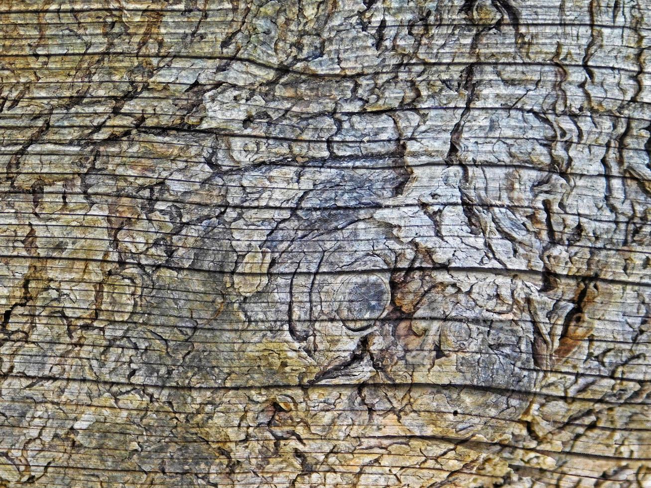 close-up van houten paneel voor achtergrond of textuur foto