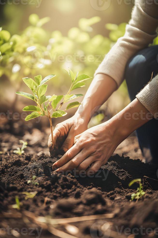 aanplant bomen voor een duurzame toekomst. gemeenschap tuin en milieu behoud - bevorderen leefgebied restauratie en gemeenschap verloving Aan aarde dag foto