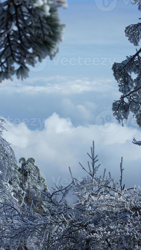 de mooi bevroren bergen visie bedekken door de wit sneeuw en ijs in winter foto