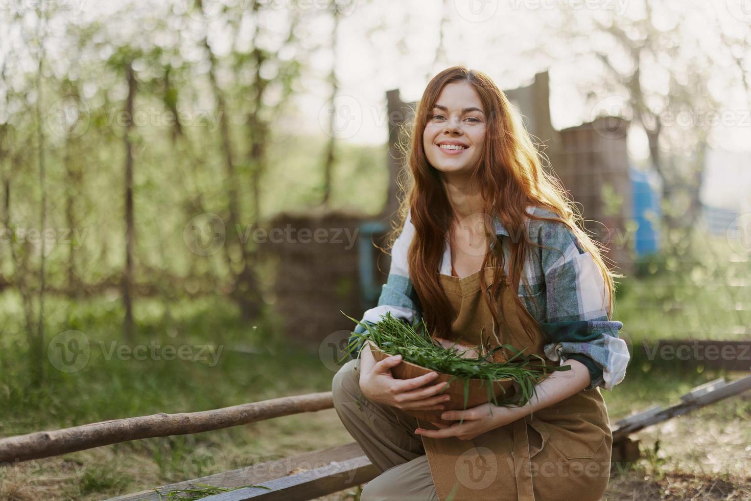 een jong vrouw feeds haar kippen Aan de boerderij met gras, vervelend een gemakkelijk plaid shirt, broek en schort, en glimlachen voor de camera, zorgzaam voor de dieren foto