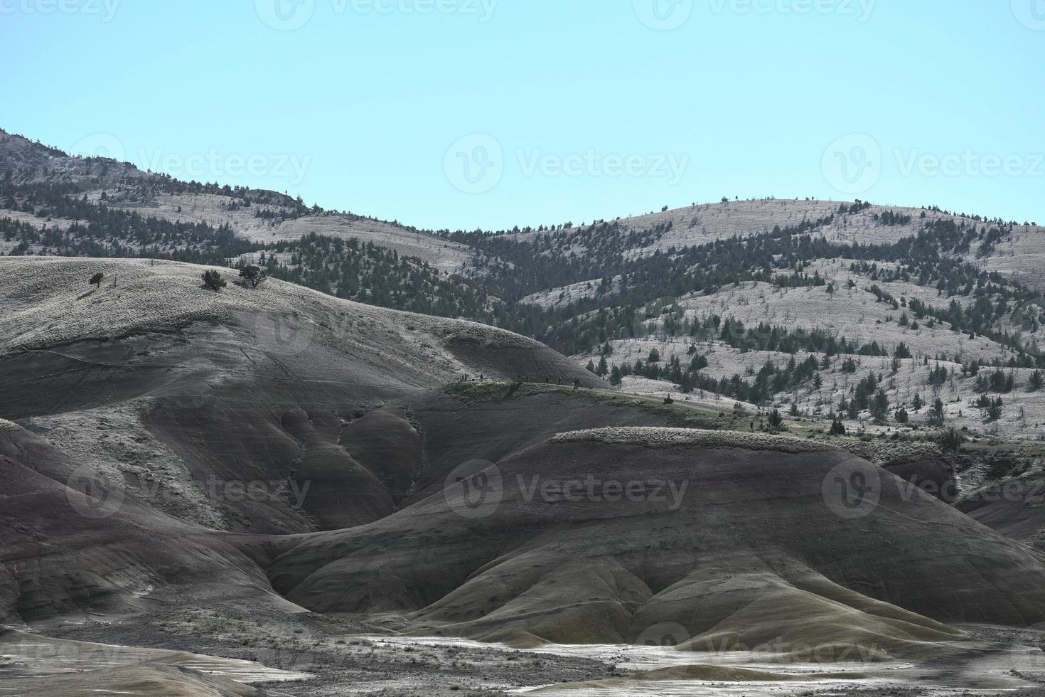 de geschilderd heuvels in speculant district, Oregon foto