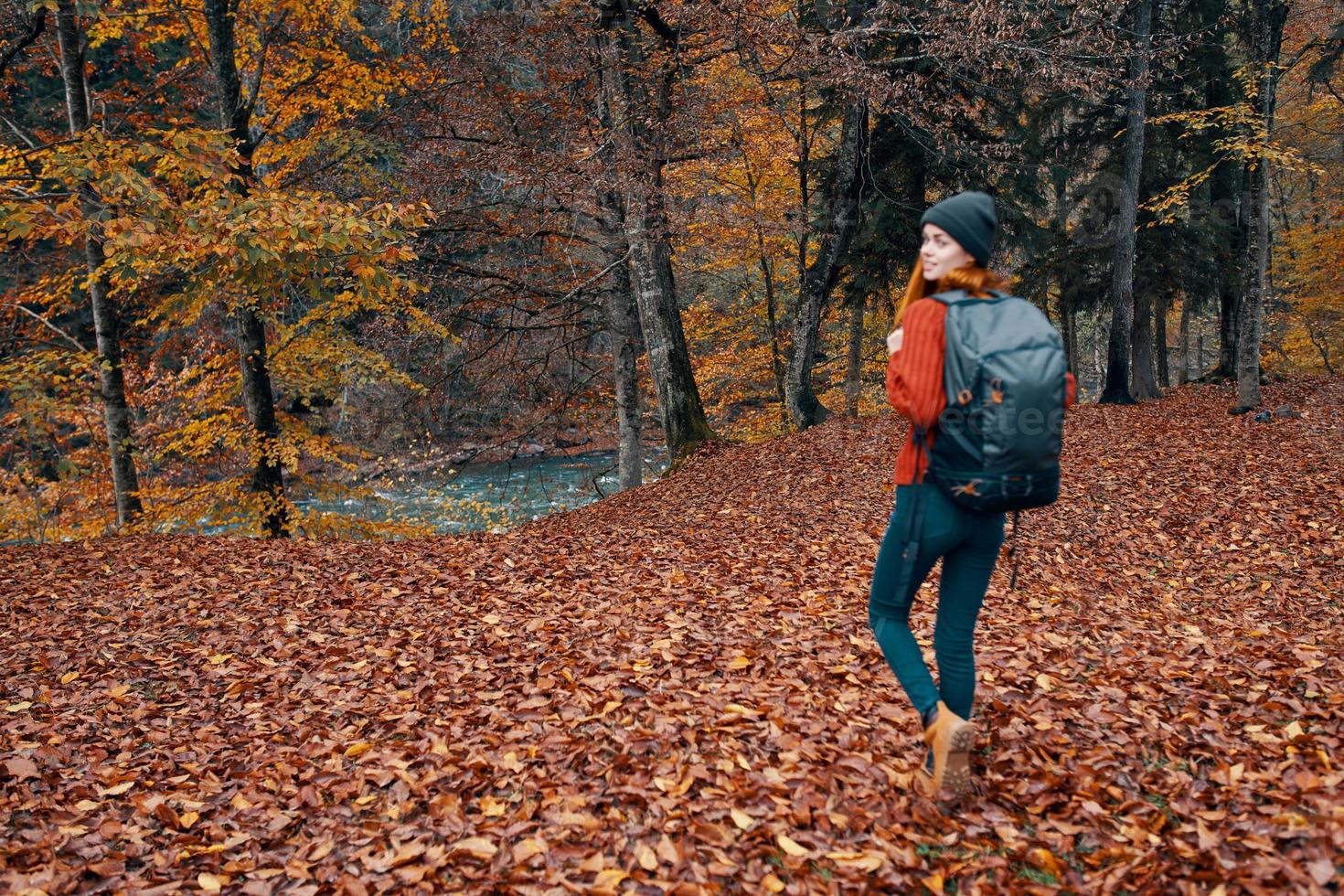 gelukkig jong vrouw met een rugzak in jeans laarzen en een trui zijn wandelen in de herfst Woud in de buurt de hoog bomen foto