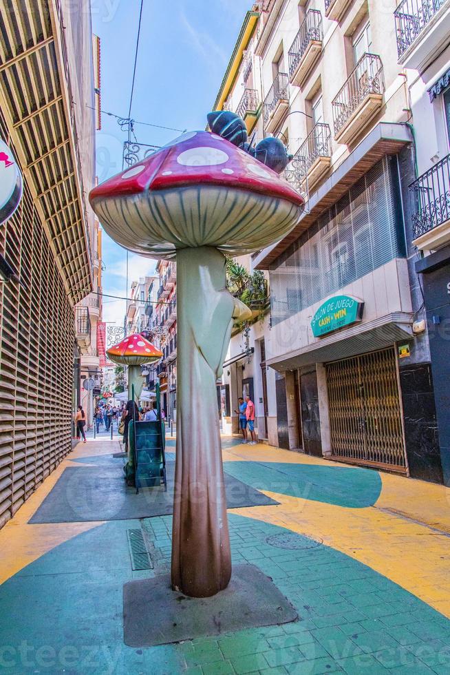 interessant karakteristiek straat in de oud stad- van Alicante Spanje met ruggen foto