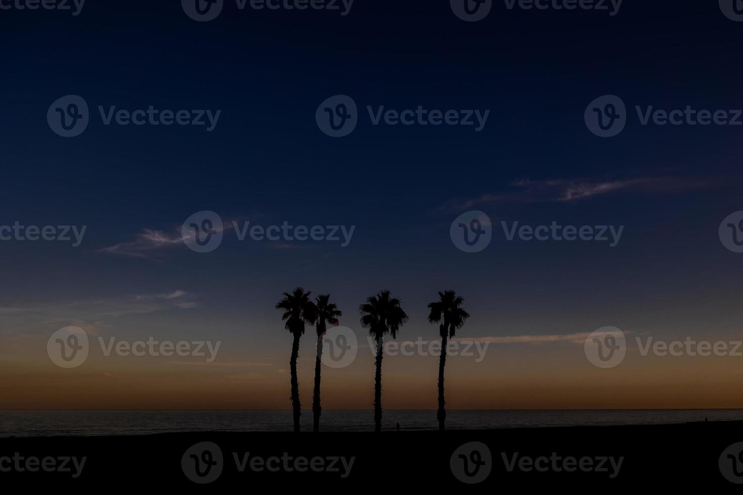 kust landschap vrede en stil zonsondergang en vier palm bomen Aan de strand foto