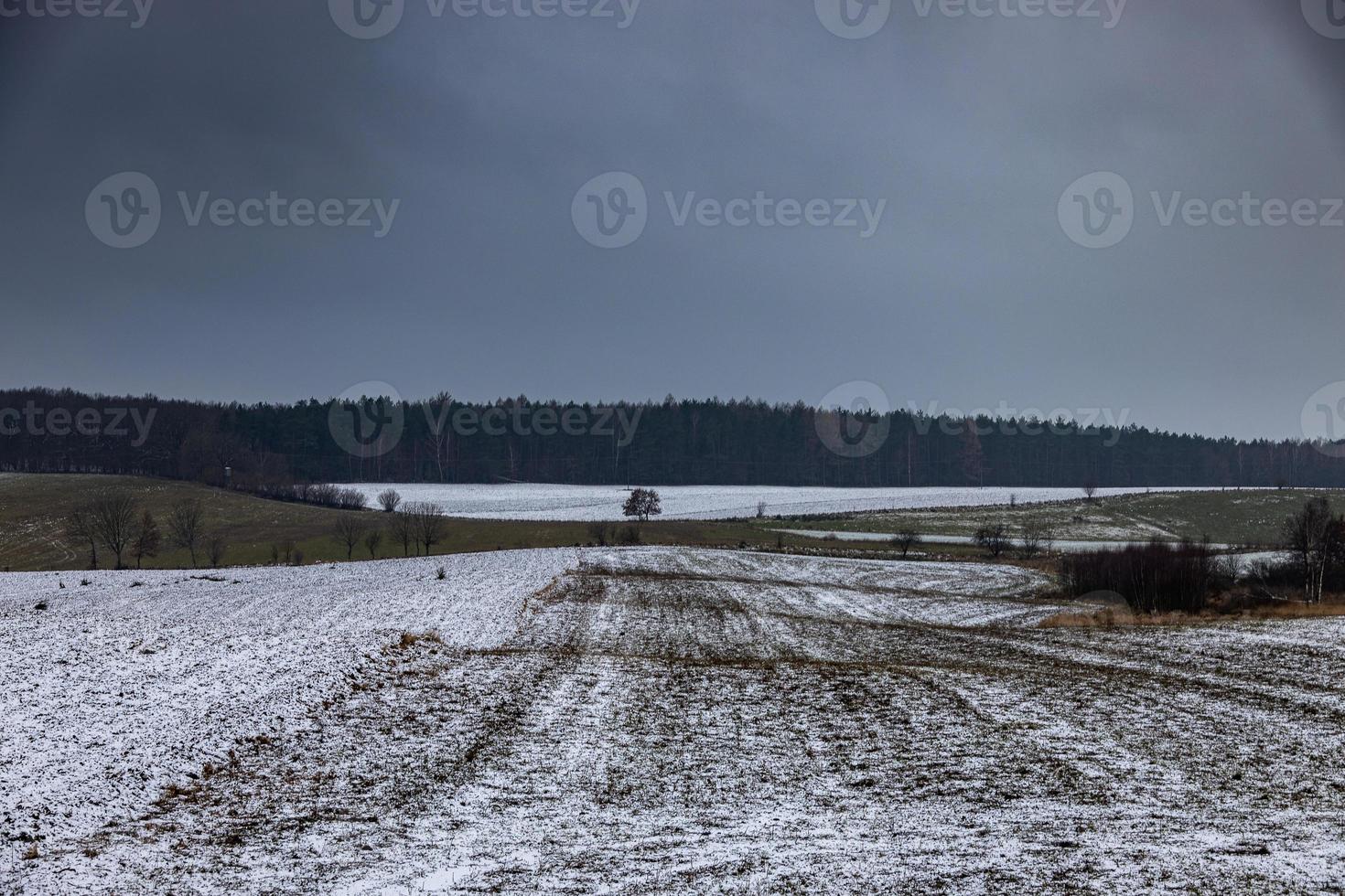 winter agrarisch landschap met sneeuw Aan een bewolkt dag in Polen foto