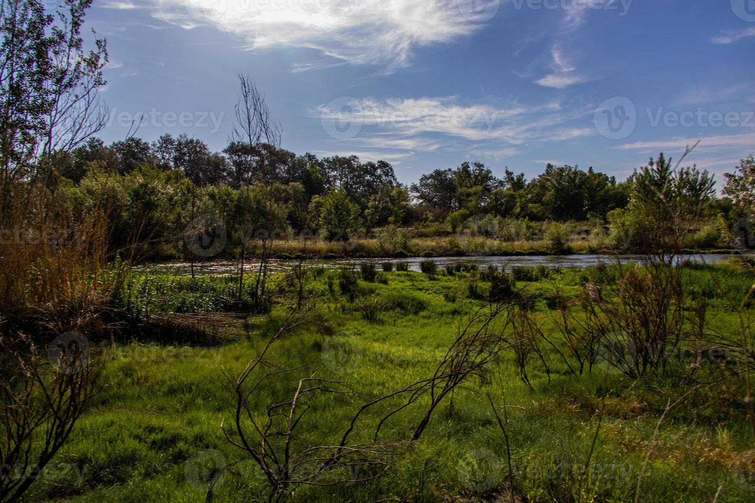 Spaans landschap door de gallego rivier- in aragon Aan een warm zomer zon dag met groen bomen en blauw luchten foto